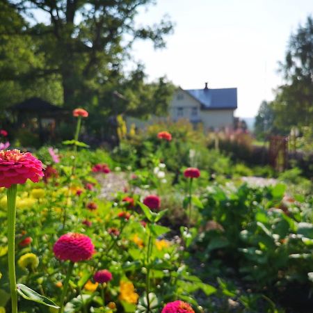 Disponentparken Cafe Och Bed & Breakfast Grängesberg 외부 사진