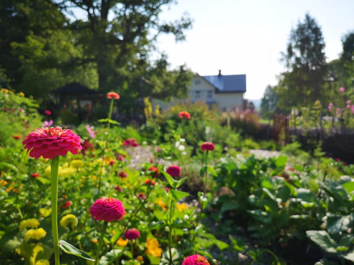Disponentparken Cafe Och Bed & Breakfast Grängesberg 외부 사진