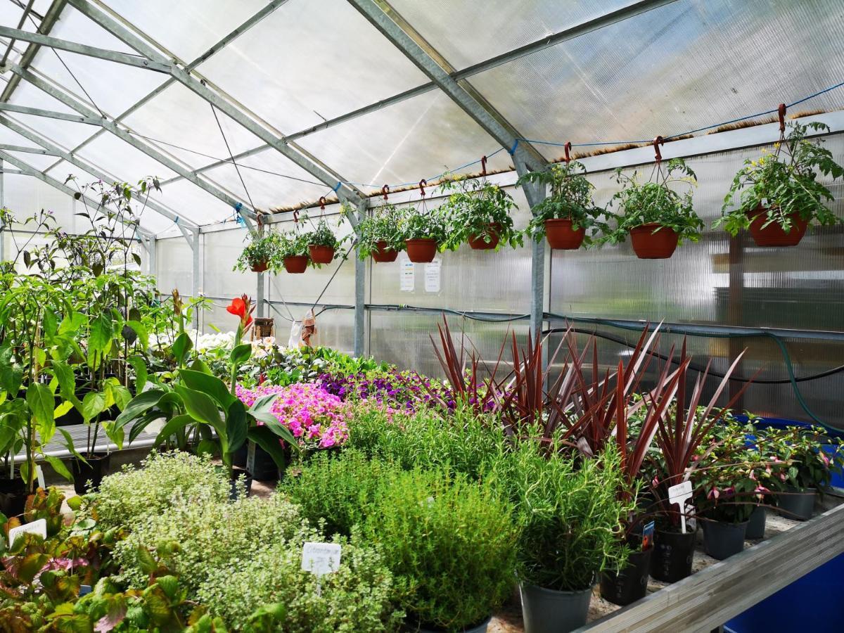 Disponentparken Cafe Och Bed & Breakfast Grängesberg 외부 사진