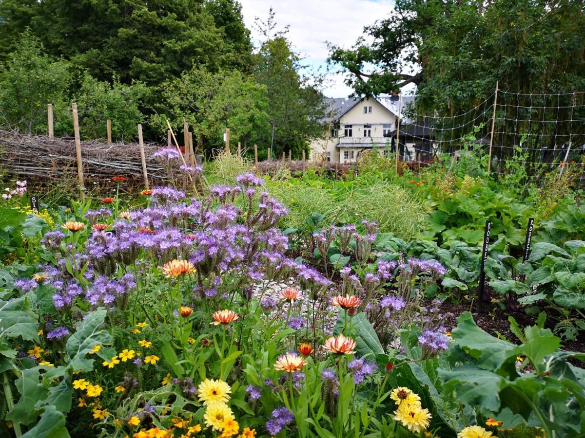 Disponentparken Cafe Och Bed & Breakfast Grängesberg 외부 사진